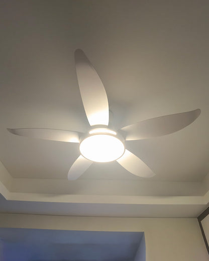 LuminaFlow LED Fan