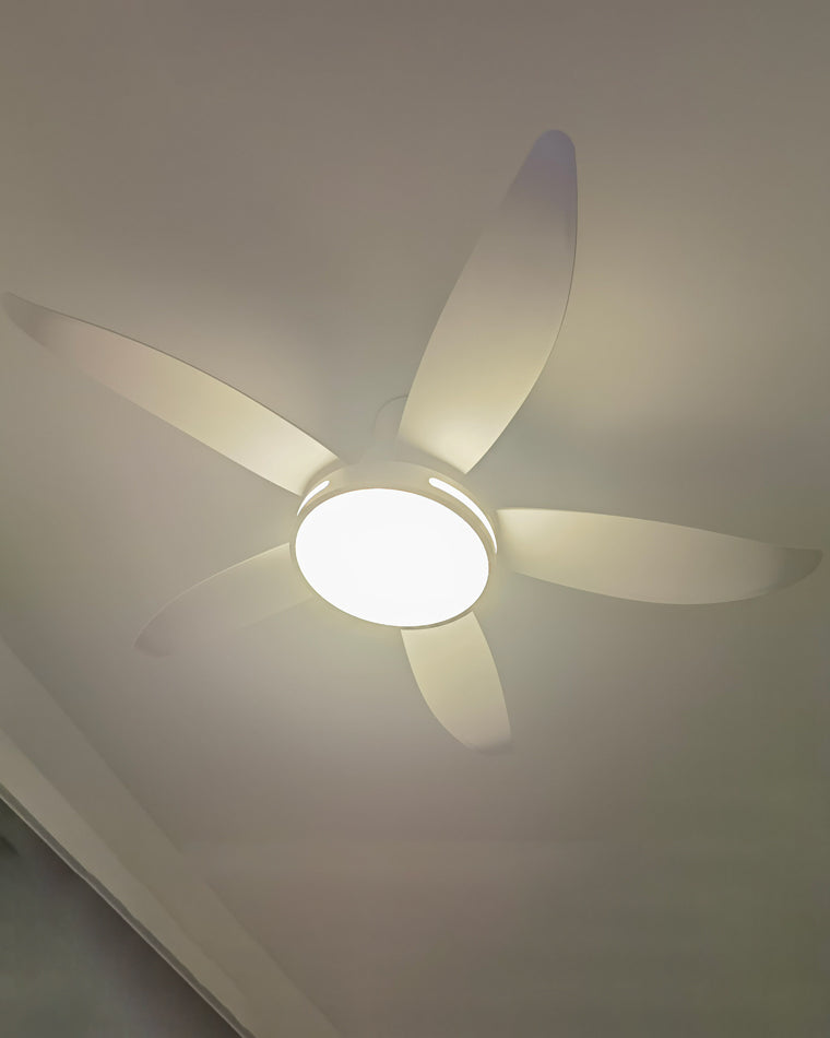 LuminaFlow LED Fan