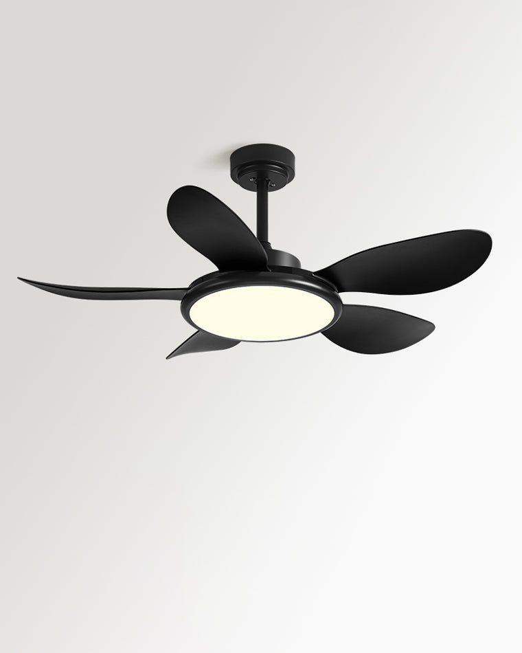Quintette Boreal Ceiling Fan