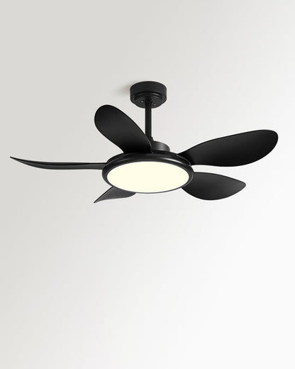 Quintette Boreal Ceiling Fan