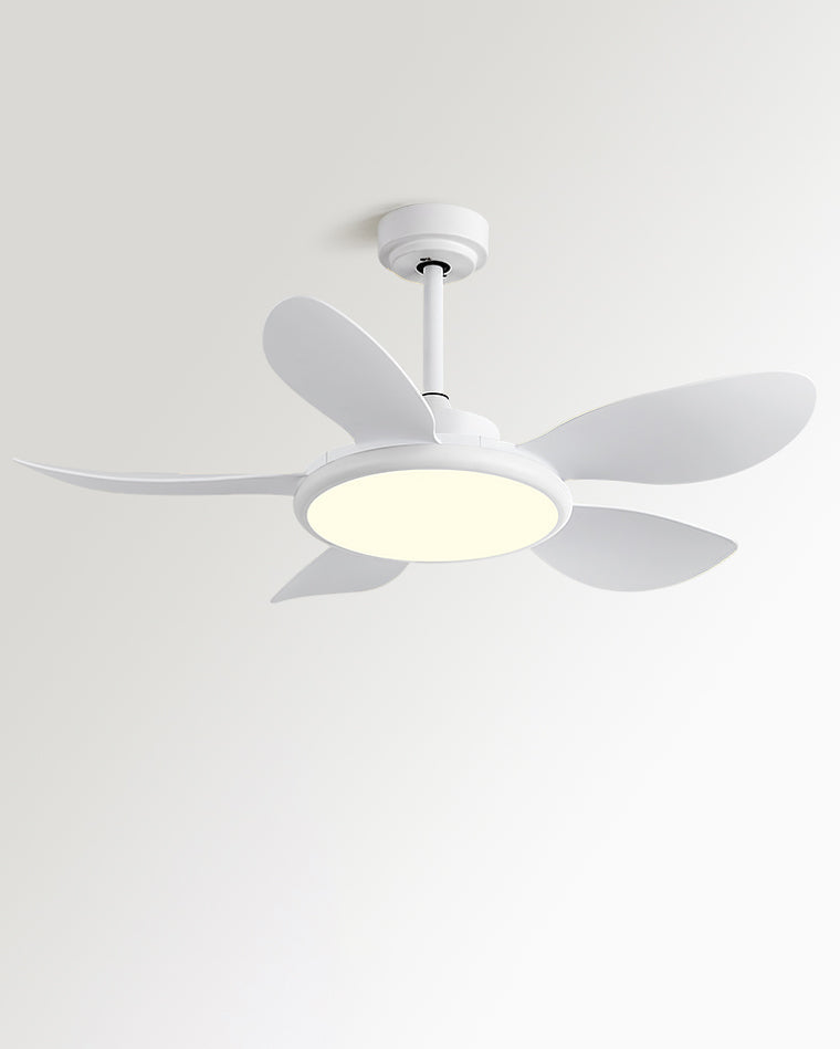 Quintette Boreal Ceiling Fan