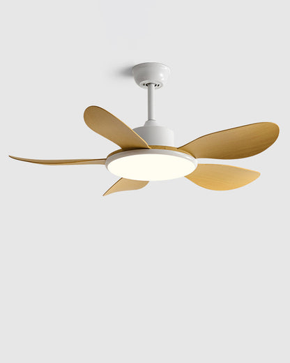 Quintette Boreal Ceiling Fan