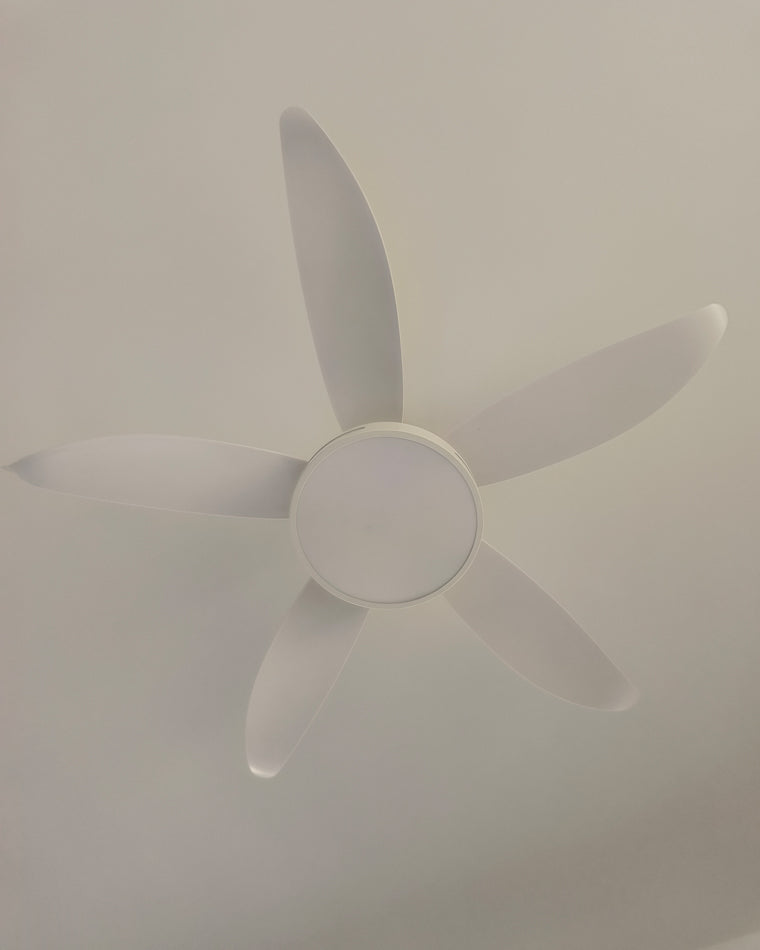 LuminaFlow LED Fan