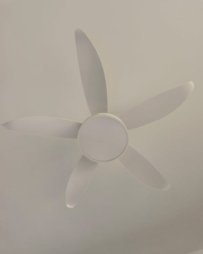 LuminaFlow LED Fan