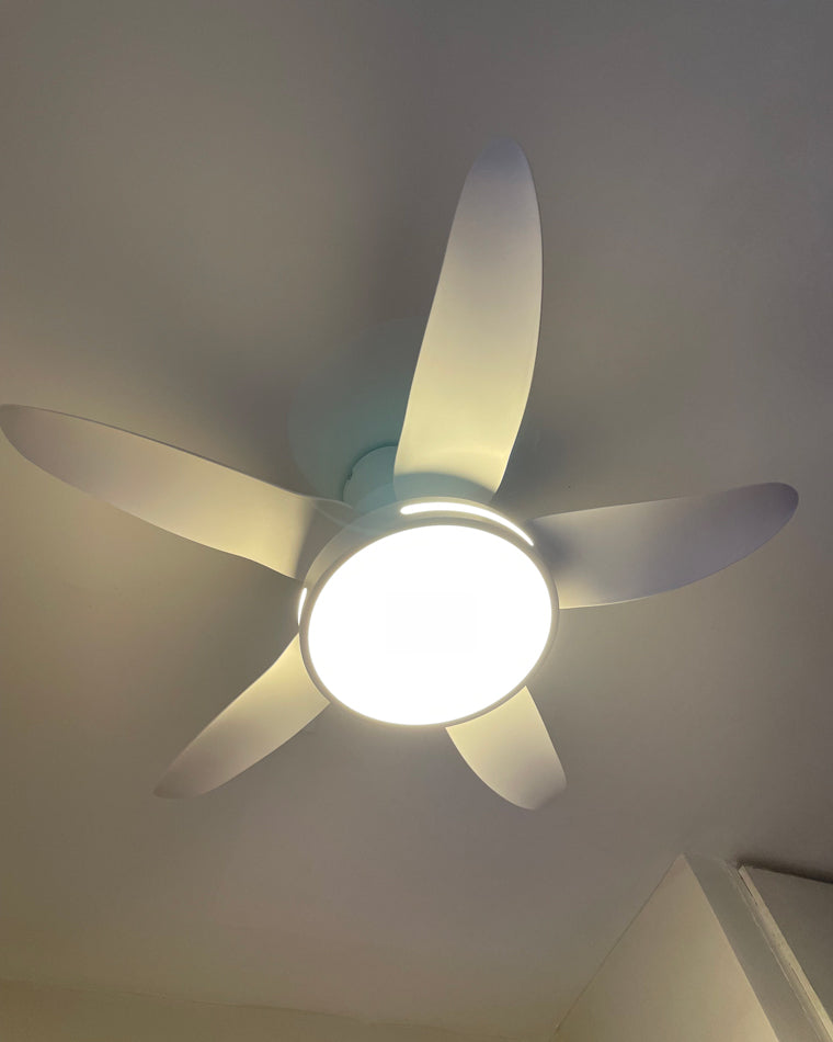 LuminaFlow LED Fan