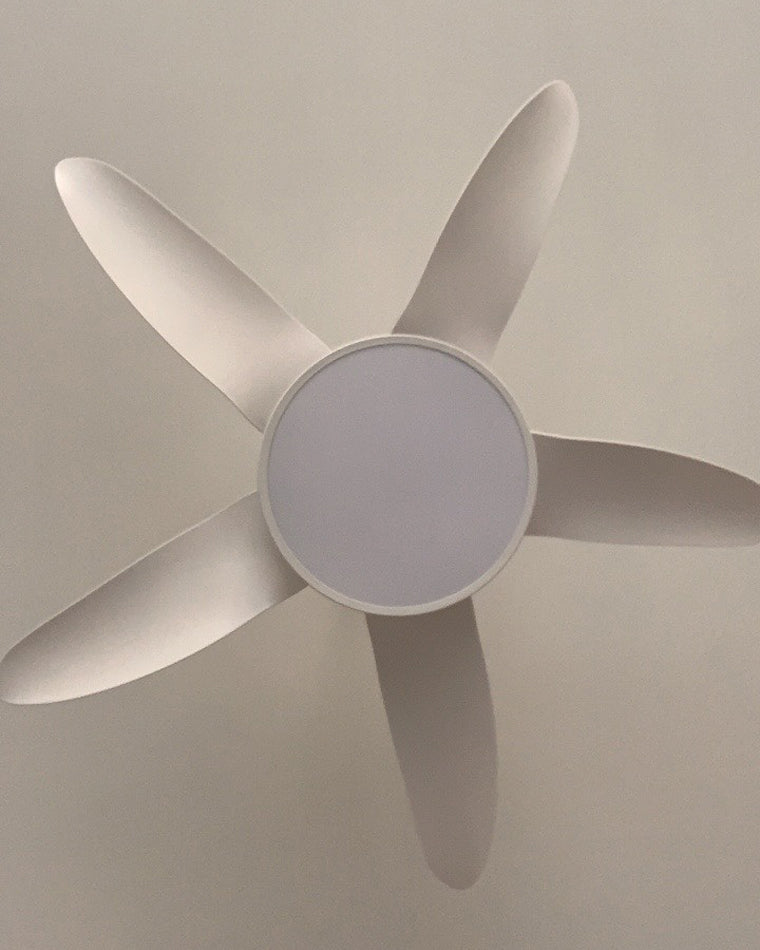 LuminaFlow LED Fan