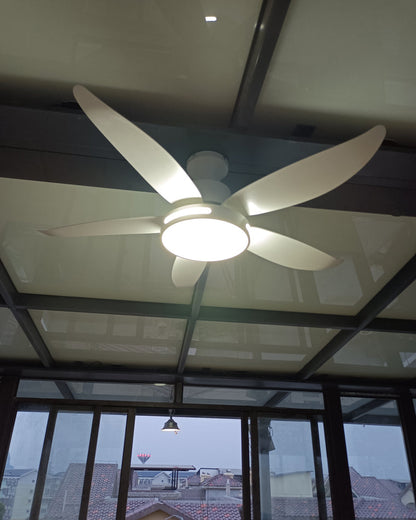 LuminaFlow LED Fan