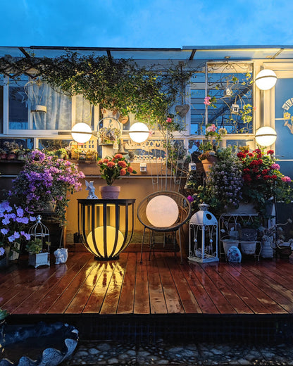 Plant Globe Wall Light