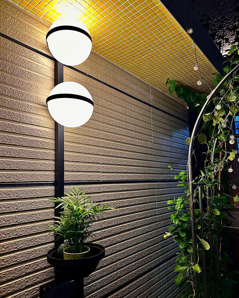 Plant Globe Wall Light