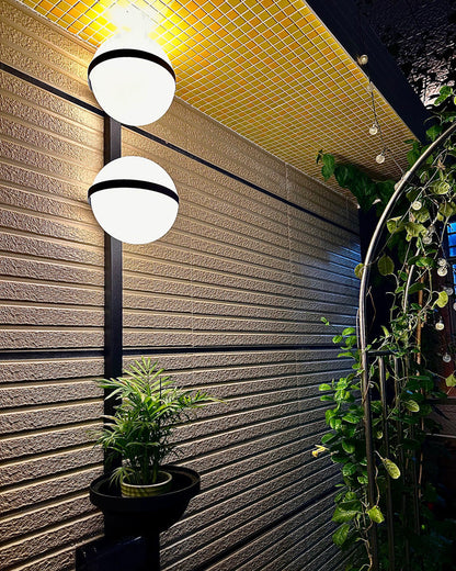 Plant Globe Wall Light