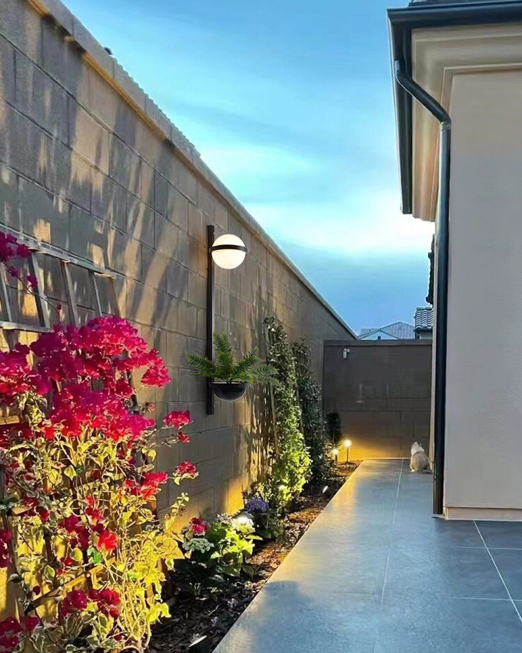 Plant Globe Wall Light