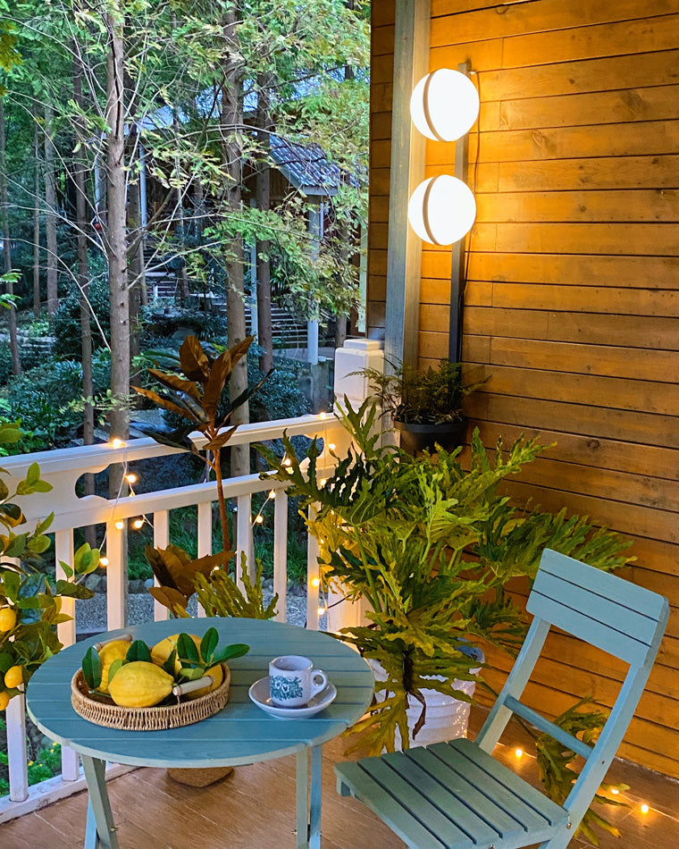 Plant Globe Wall Light