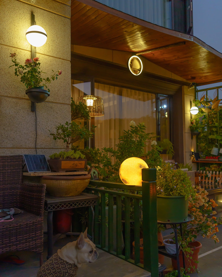 Plant Globe Wall Light