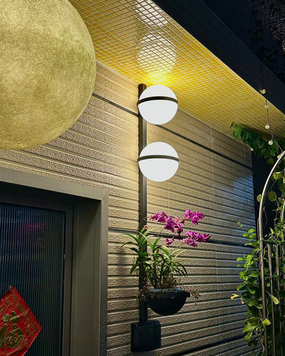 Plant Globe Wall Light