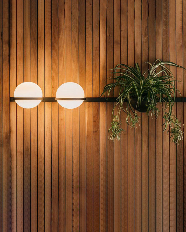 Plant Globe Wall Light