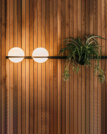 Plant Globe Wall Light