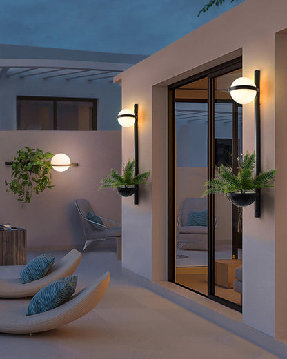 Plant Globe Wall Light