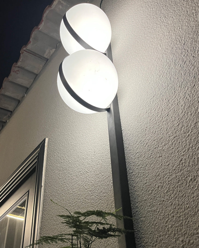 Plant Globe Wall Light