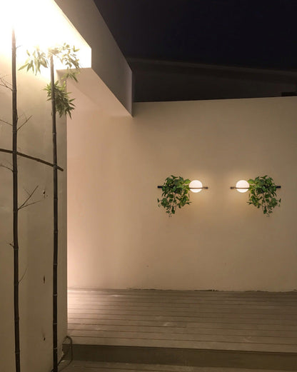 Plant Globe Wall Light