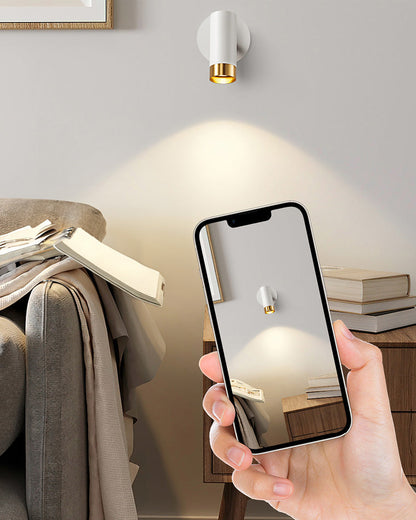 Minimalist Adjustable Wall Spotlight
