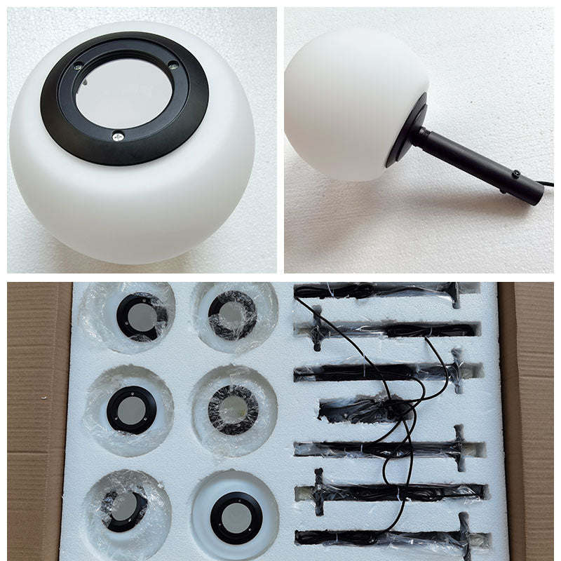 Frosted Glass Globe Ceiling Light