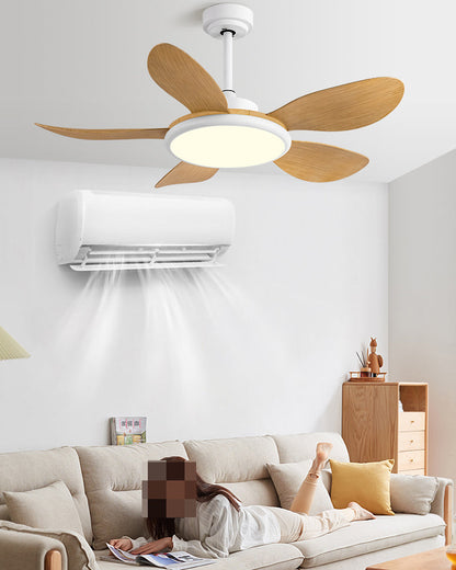 Quintette Boreal Ceiling Fan