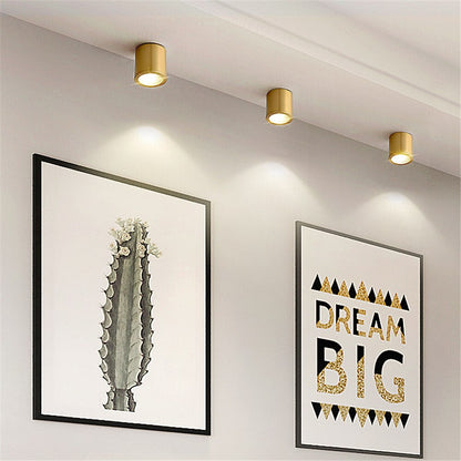 Spot Lumineux Plafond Cylindrique Moderne - Tarm Doré-4