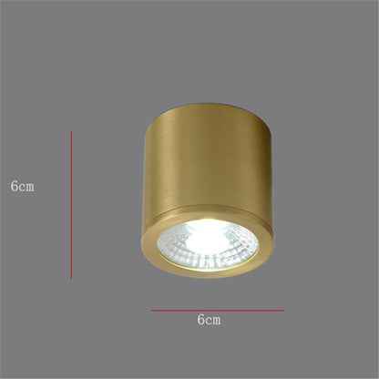 Spot Lumineux Plafond Cylindrique Moderne - Tarm Doré-1