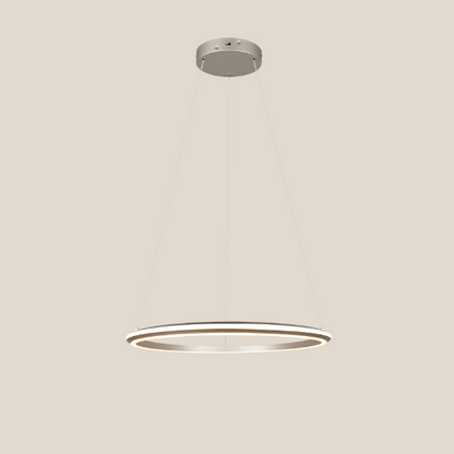 Luminaire Suspension Anneau Led