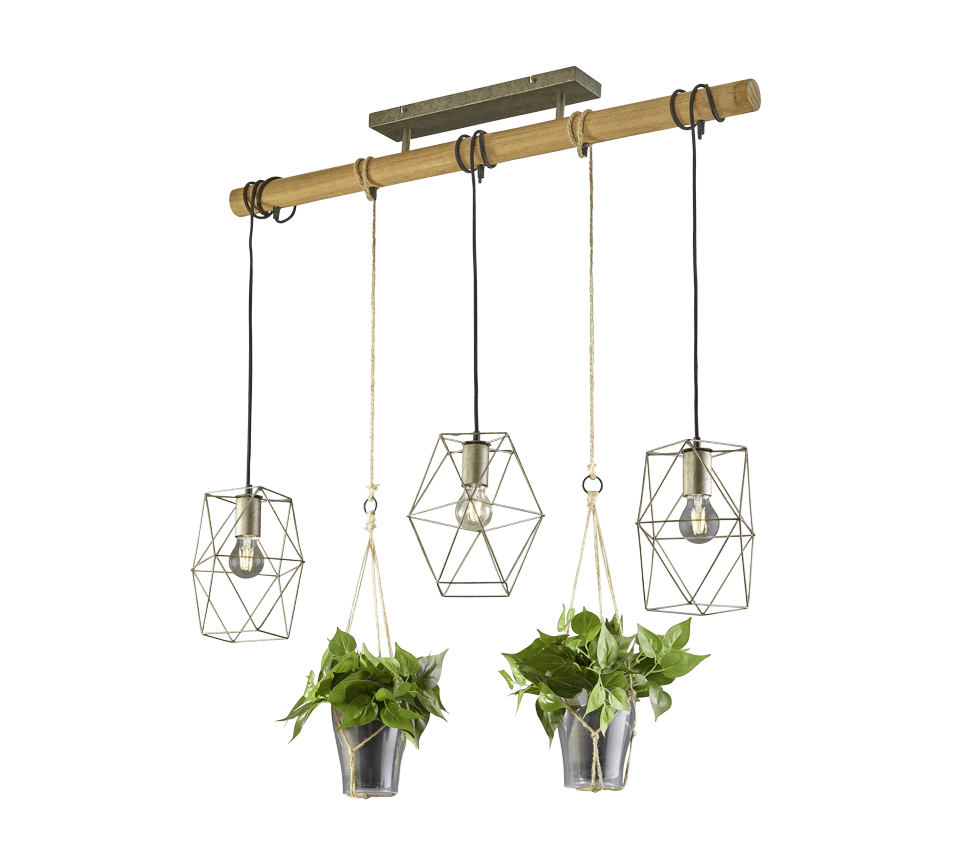 Suspension Nature