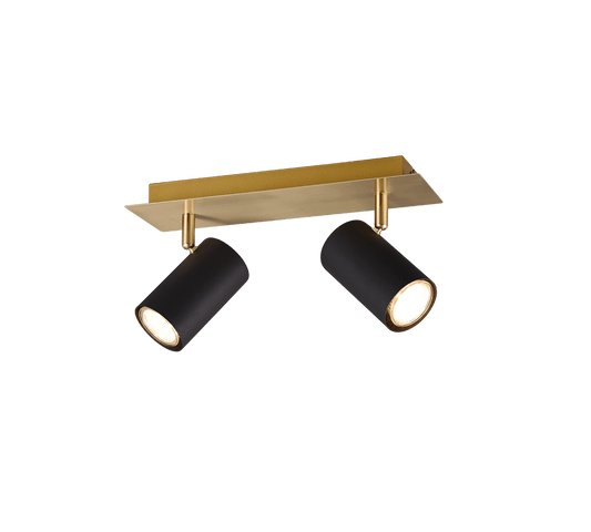 Plafonnier Deux Ampoules