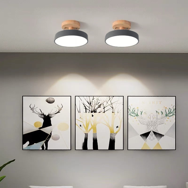 Plafonnier LED Coloré - Éclat Moderne