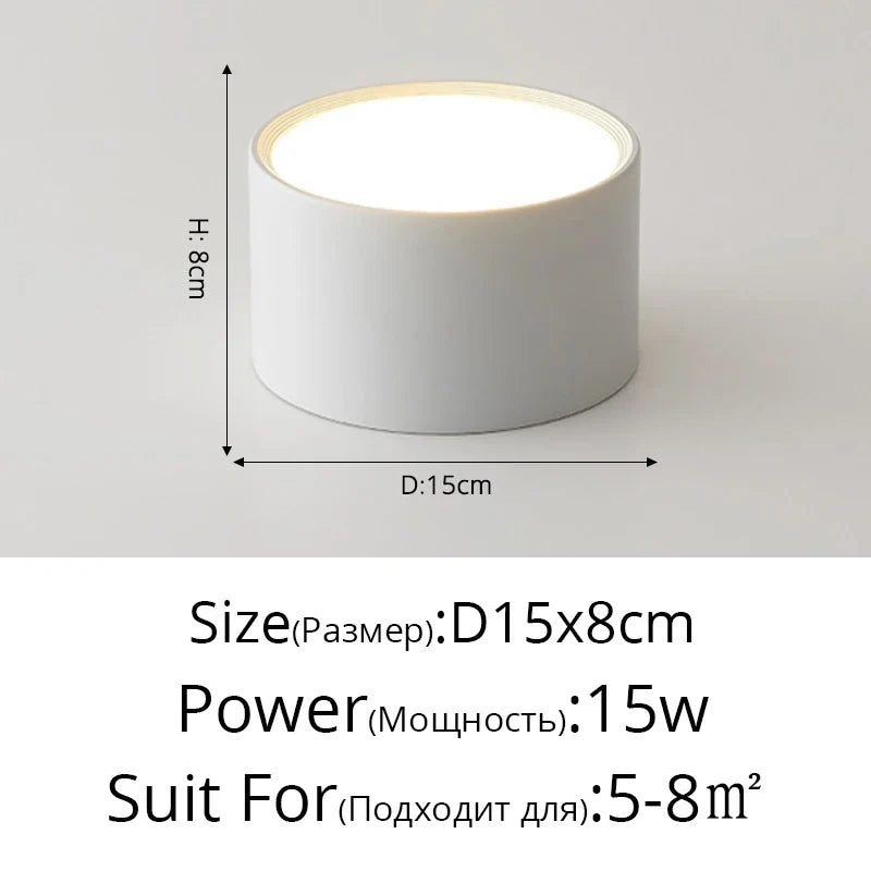 Plafonnier LED Métal - Éclat Moderne Design pour Salon et Chambre