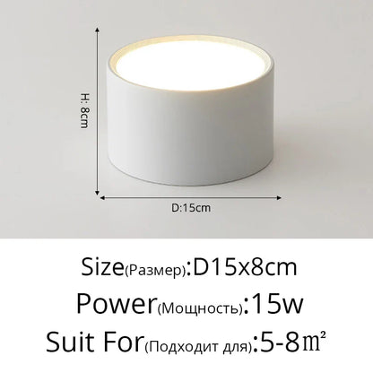 Plafonnier LED Métal - Éclat Moderne Design pour Salon et Chambre