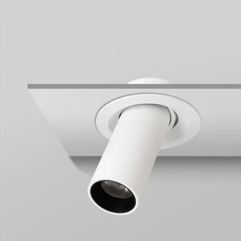 Plafonnier LED Tube Long - Éclairage Noir et Blanc