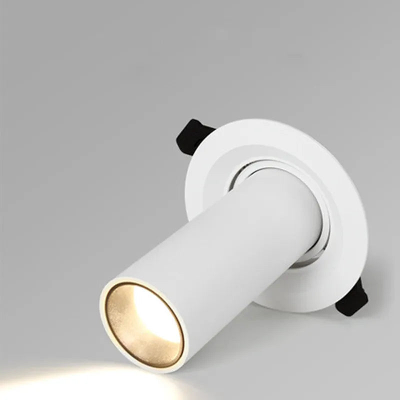 Plafonnier LED Tube Long - Éclairage Noir et Blanc