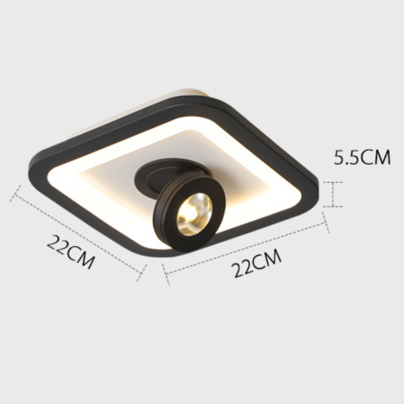 Plafonnier LED Wrenn - Design Moderne avec Spot Réglable