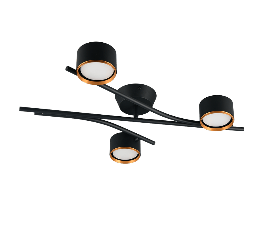 Plafonnier Moderne Noir pour Salon