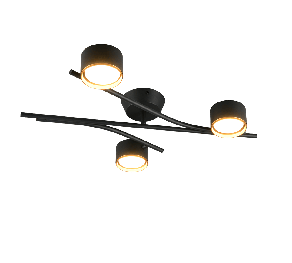 Plafonnier Moderne Noir pour Salon