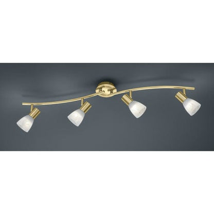 Plafonnier Rail Spots