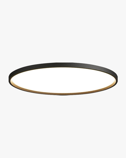 Plafonnier SlimLight
