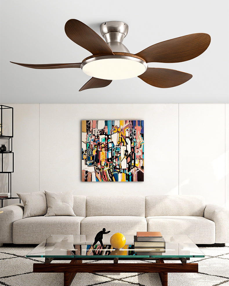 Plafonnier Ventilateur Silésia