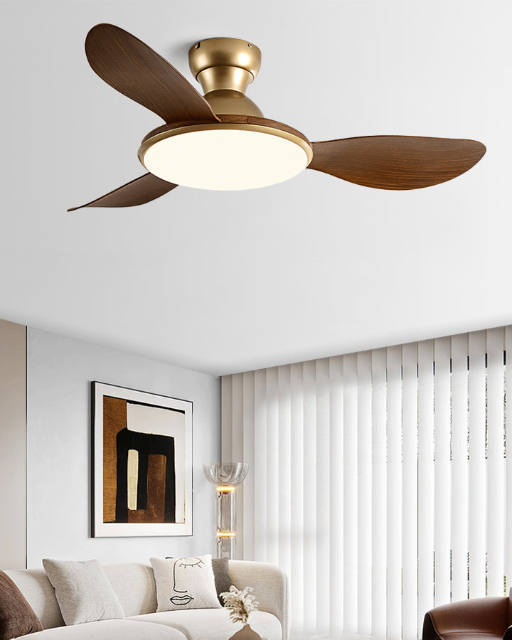 Plafonnier Ventilateur Silésia