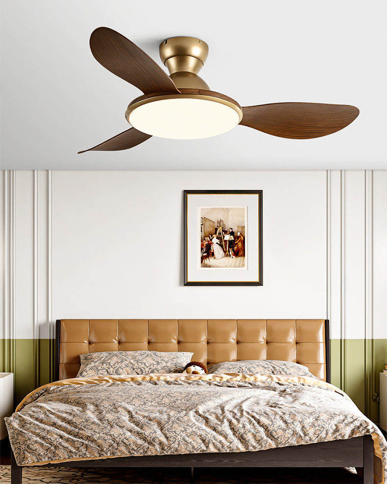Plafonnier Ventilateur Silésia