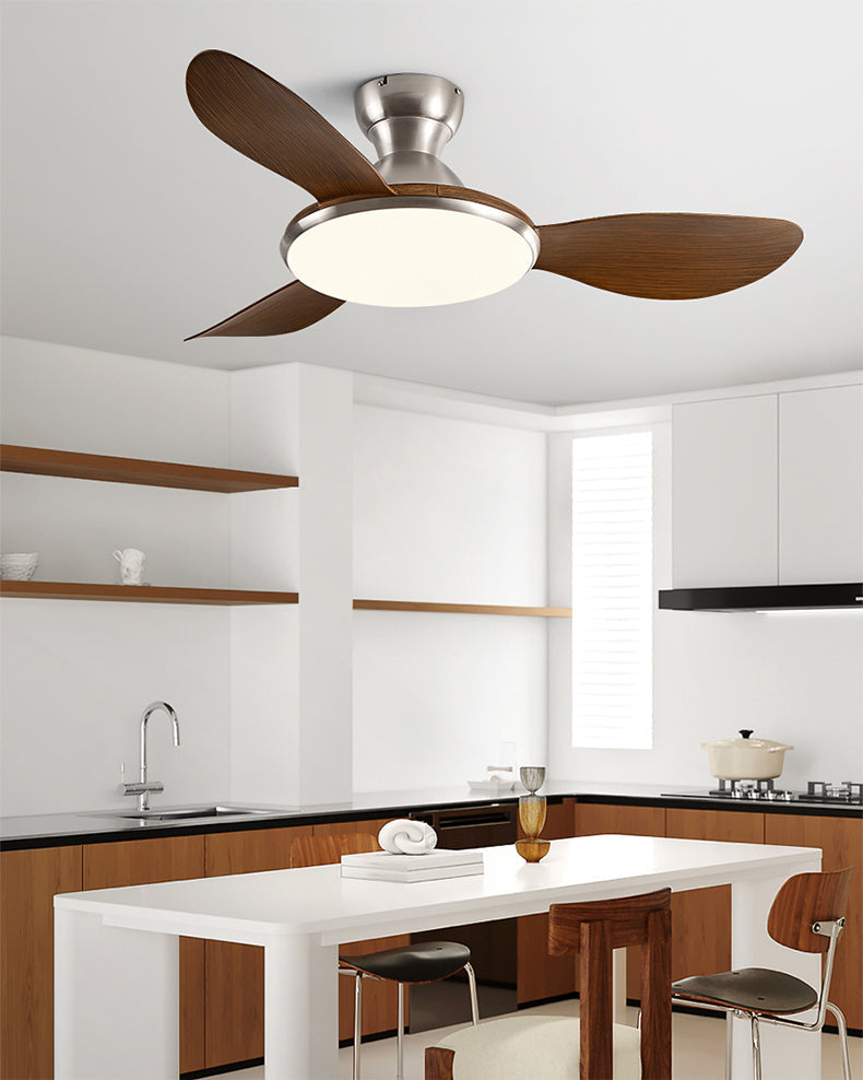 Plafonnier Ventilateur Silésia