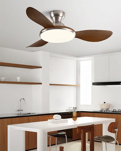 Plafonnier Ventilateur Silésia