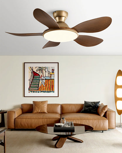 Plafonnier Ventilateur Silésia