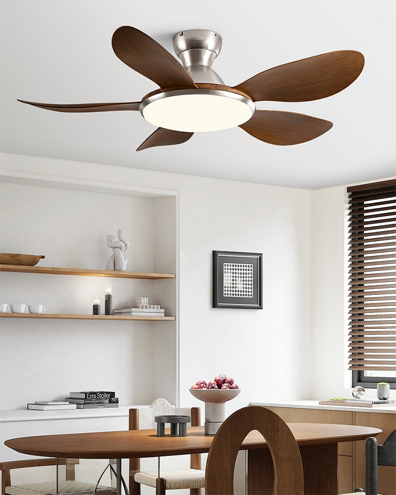 Plafonnier Ventilateur Silésia
