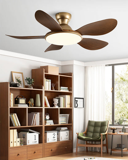 Plafonnier Ventilateur Silésia
