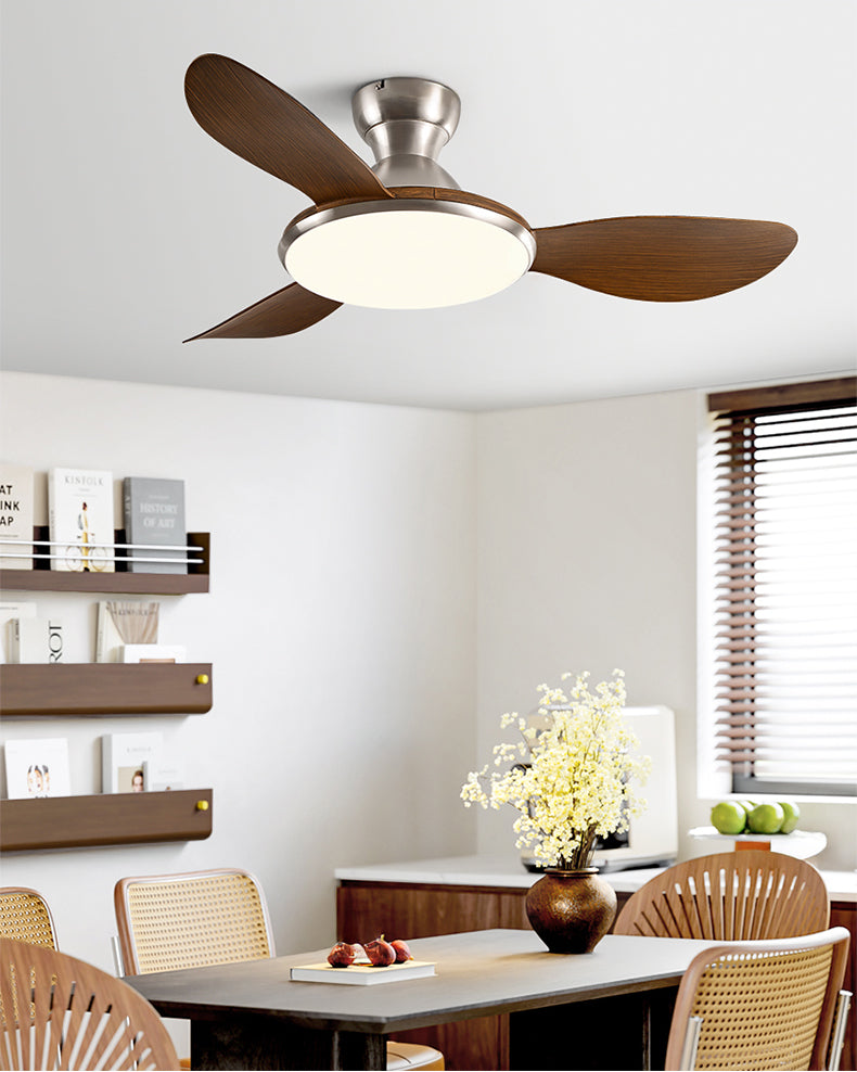 Plafonnier Ventilateur Silésia